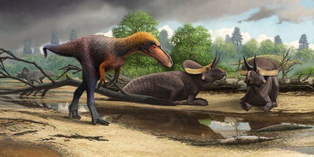 An artist's impression of Suskityrannus hazelae.