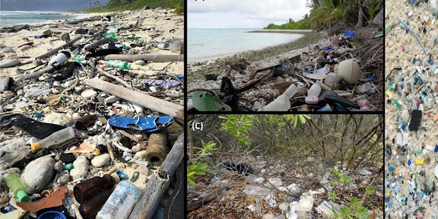Marine biologist Jennifer Lavers published a study Thursday about plastic debris she and her colleagues found on seven of the Cocos Keeling Islands in 2017. Pictured: (A) eastern side of South Island, (B) north side of Direction Island, (C) beach-back vegetation along the north-east side of Home Island, (D) micro-plastics along the eastern side of South Island.<br>