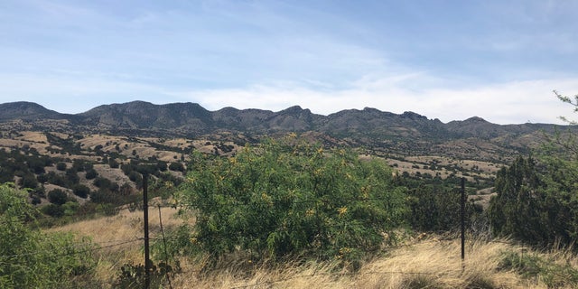A view of the Santa Rita Mountains off of Highway 83 where the proposed Rosemont Mine site will be built.