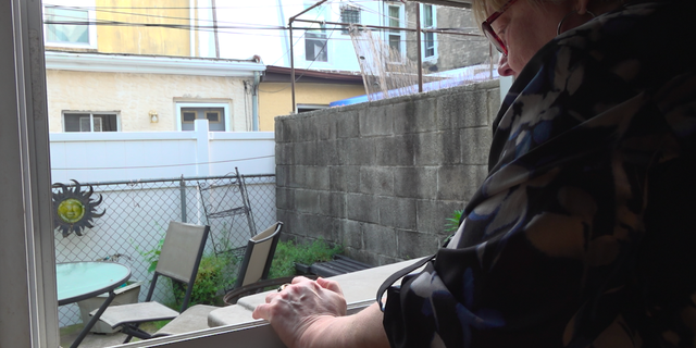 Jean Van Sciver, a colony "caretaker" feeds her feral cats through her window.