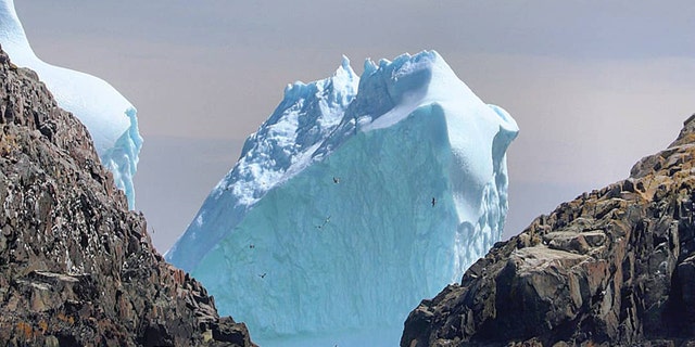 The area off Newfoundland and Labrador is dubbed "iceberg alley." (Mark Gray)