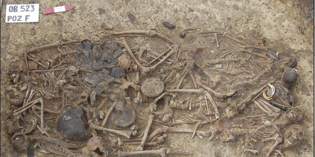The researchers found that the 15 skeletons found at this 5,000-year-old burial site were all related to each other. The burial site was discovered in 2011 near the village of Koszyce in southern Poland.