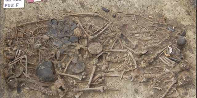 Researchers have found that the 15 skeletons found in this 5,000-year-old grave site were all related to one another. The burial site was found in 2011 near the village of Koszyce in southern Poland.