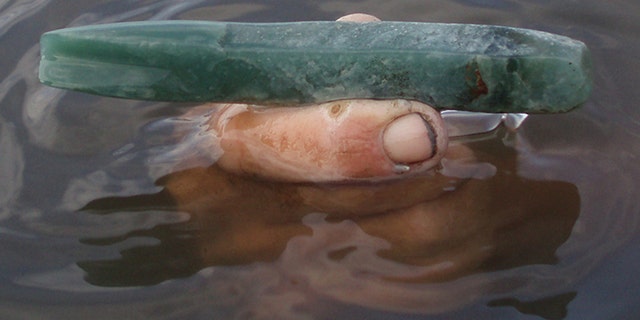 The jadeite tool was discovered in a Belize lagoon.