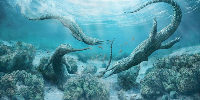 An illustration of the newly discovered phytosaur species <i>Mystriosuchus steinbergeri</i>, a crocodile-like beast that lived 210 million years ago in what is now Austria.