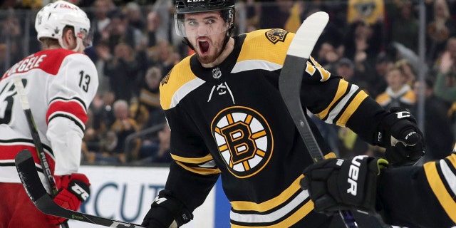 Boston Bruins' Connor Clifton (75) celebrates his goal against the Carolina Hurricanes during the second period in Game 2 of the NHL hockey Stanley Cup Eastern Conference final series, Sunday, May 12, 2019, in Boston. (AP Photo/Charles Krupa)