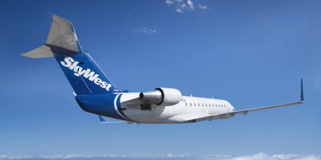 Flight attendants on SkyWest airplane reportedly get into fight, delay passengers for over an hour 2 A SkyWest flight was reportedly delayed after two flight attendants got into an argument and refused to work with each other.