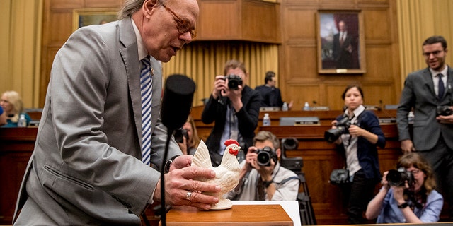 Rep. Steve Cohen, D-Tenn., left, placing a prop chicken on the witness desk after Attorney General William Barr skipped a House Judiciary Committee hearing on May 2. (AP Photo/Andrew Harnik, File)