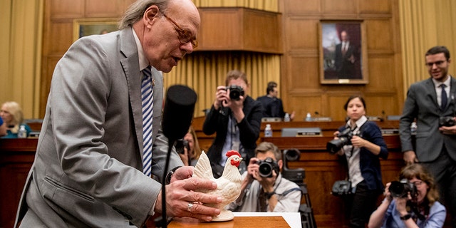 Rep. Steve Cohen, D-Tenn., left, placing a prop chicken on the witness desk after Attorney General William Barr skipped a House Judiciary Committee hearing on May 2. (AP Photo/Andrew Harnik, File)