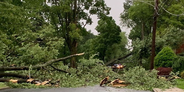 Westlake Legal Group Storm-1 Tornadoes in Pennsylvania, New Jersey catch many in the danger zone off-guard Frank Miles fox-news/us/us-regions/northeast/pennsylvania fox-news/us/us-regions/northeast/new-jersey fox-news/us/disasters/tornado fox-news/us/disasters/disaster-response fox-news/topic/fox-news-flash fox news fnc/us fnc article 689092d4-f97c-59a8-b370-6faa88823481