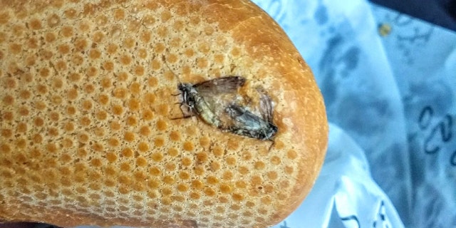Warde took the disgusting snap after he had already left the airport and was eating the bread on the bus.