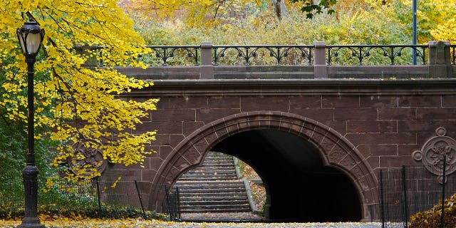 A man was found hanging from an overpass like this one, in an apparent suicide early Friday in New York's Central Park