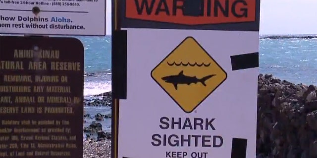 Shark warning signs were posted in the Ka'anapali Beach Park area on Maui after a man was killed in an apparent shark attack on Saturday.