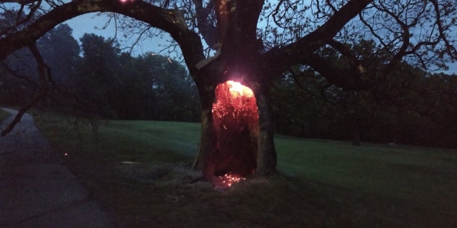Glowing embers can be seen on a tree that apparently had been struck by lighting in Millbury, Mass. on Sunday.