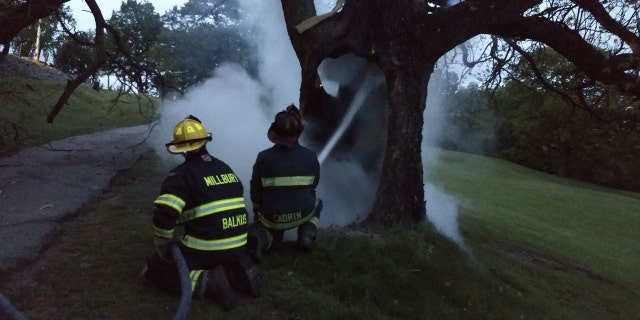 Firefighters douse a smoldering tree after a lightning strike on Sunday.