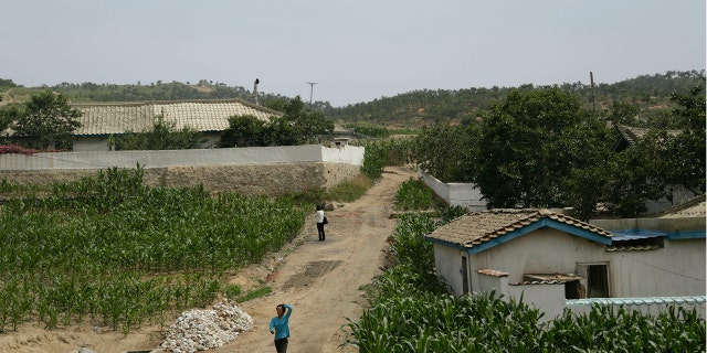 United Nations food agencies have warned about 10 million people in North Korea, about 40 percent of the population, are facing "severe food shortages" after the country had one of the worst harvests in a decade.
