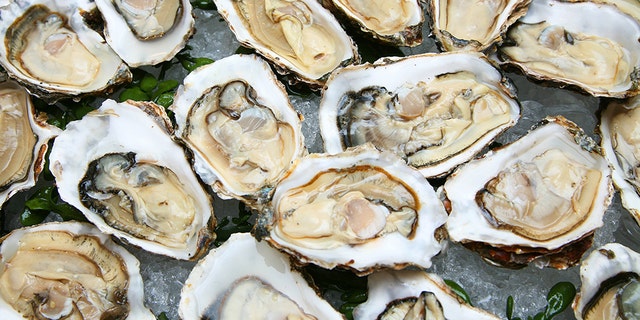 The U.S. Centers for Disease Control and Preventions recommends cooking oysters to avoid Vibrio bacteria, which can cause mild to severe illnesses in humans, including vibrosis. The CDC estimates 80,000 people get infected by the foodborne illness every year, which can cause diarrhea, vomiting or death in extreme cases.