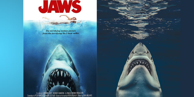 A picture taken by Euan Rannachan for Magnus News is seen at right. The famous poster for "Jaws" is seen at left.
