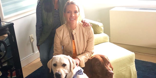 Dana Perino, a world's biggest dog partner and anchor of The Daily Briefing, has easily offering several times before to take Spike when something comes up. we contingency acknowledge we was wavering when Spike was younger, given she didn’t know a program. But also given Jasper, Perino’s dog, has VERY opposite manners from Spike.
