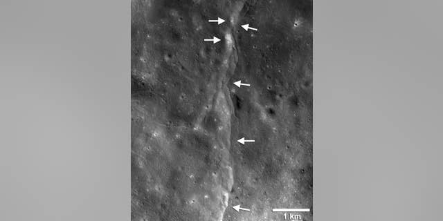 This prominent thrust fault is one of thousands discovered on the moon by NASA's Lunar Reconnaissance Orbiter. These faults, called scarps, resemble small stair-shaped cliffs when seen from the lunar surface. The scarps form when one section of the moon's crust (left-pointing arrows) is pushed up over an adjacent section (right-pointing arrows) as the moon's interior cools and shrinks. New research suggests that these faults may still be active.