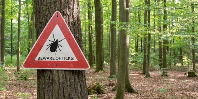 Don’t go bushwhacking or run off into the brushes.