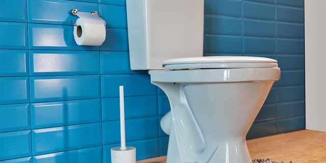 Thomas Wells, 33, from Pittsburgh, Pa., has been accused of flushing his grandparents' ashes down a toilet after his mother kicked him out of her house last September. Wells appeared in court for a preliminary hearing on Monday. (iStock)