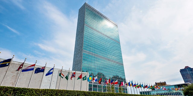 The elections are the latest example of countries with questionable records being elected to U.N. bodies charged with protecting rights. (iStock)