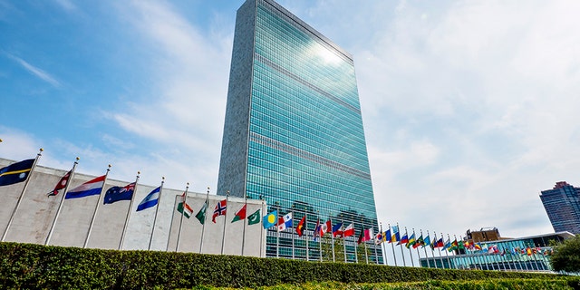 The elections are the latest example of countries with questionable records being elected to U.N. bodies charged with protecting rights. (iStock)