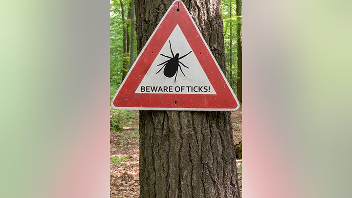 Fox News Flash top headlines for May 30