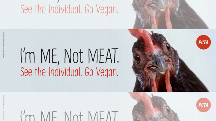 Fox News Flash top headlines for May 22