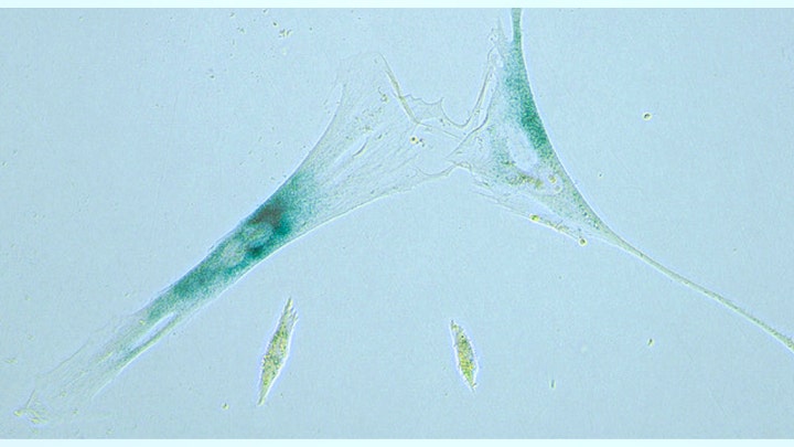 Fox News Flash top headlines for May 14