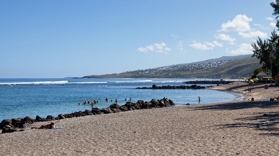 Surfer killed by shark off coast of France #39 s Reunion island: officials Surfer killed by shark off coast of France #39 s Reunion island: officials