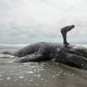 Duat Mai stands atop a dead whale at Ocean Beach in San Francisco, May 6, 2019. 