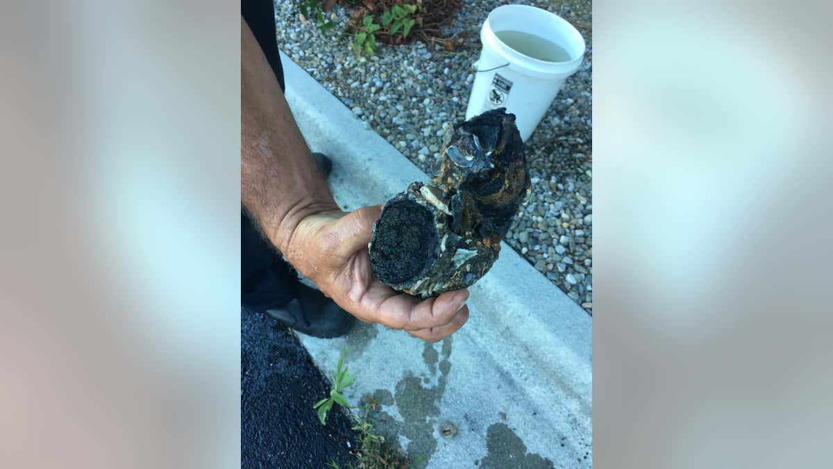 Authorities said a North Carolina beach-goer found this military ordnance at the beach and brought it home to put in their garden.