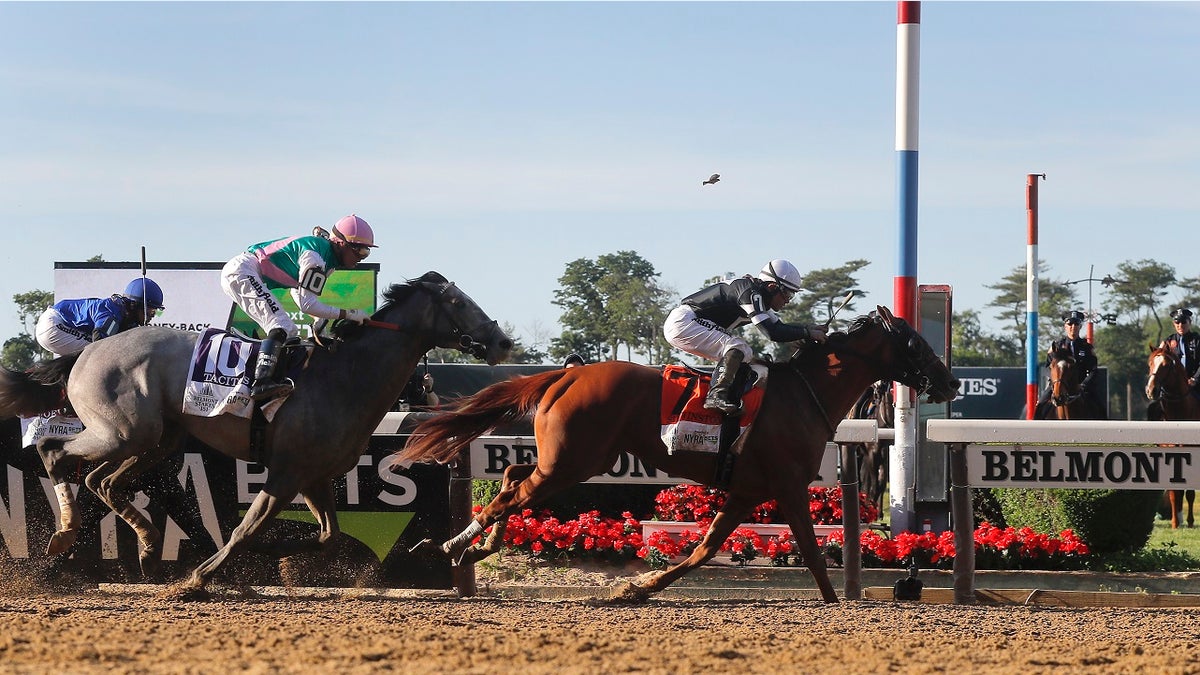 Sir Winston (7), with jockey Joel Rosario up, crosses the finish line ahead of Tacitus (10), with jockey Jose Ortiz up, to win the 151st running of the Belmont Stakes horse race, Saturday, June 8, 2019, in Elmont, N.Y. (AP Photo/Julie Jacobson)