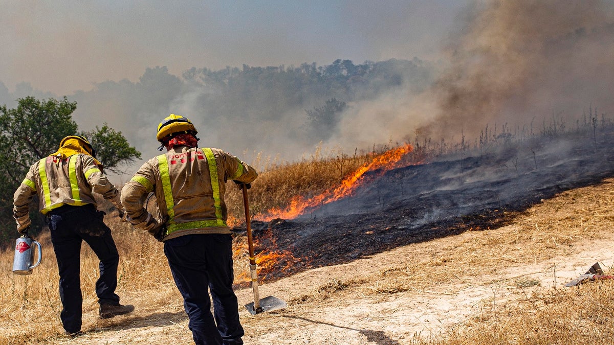 Firefighters try to extinguish a wildfire in Palma d'Ebre, near Tarragona, Spain, Thursday, June 27, 2019. Authorities suspect the cause of the outbreak was a deposit of improperly stored manure. Firefighters say that high temperatures and a drop in humidity will likely fan the flames. (AP Photo/Jordi Borras)