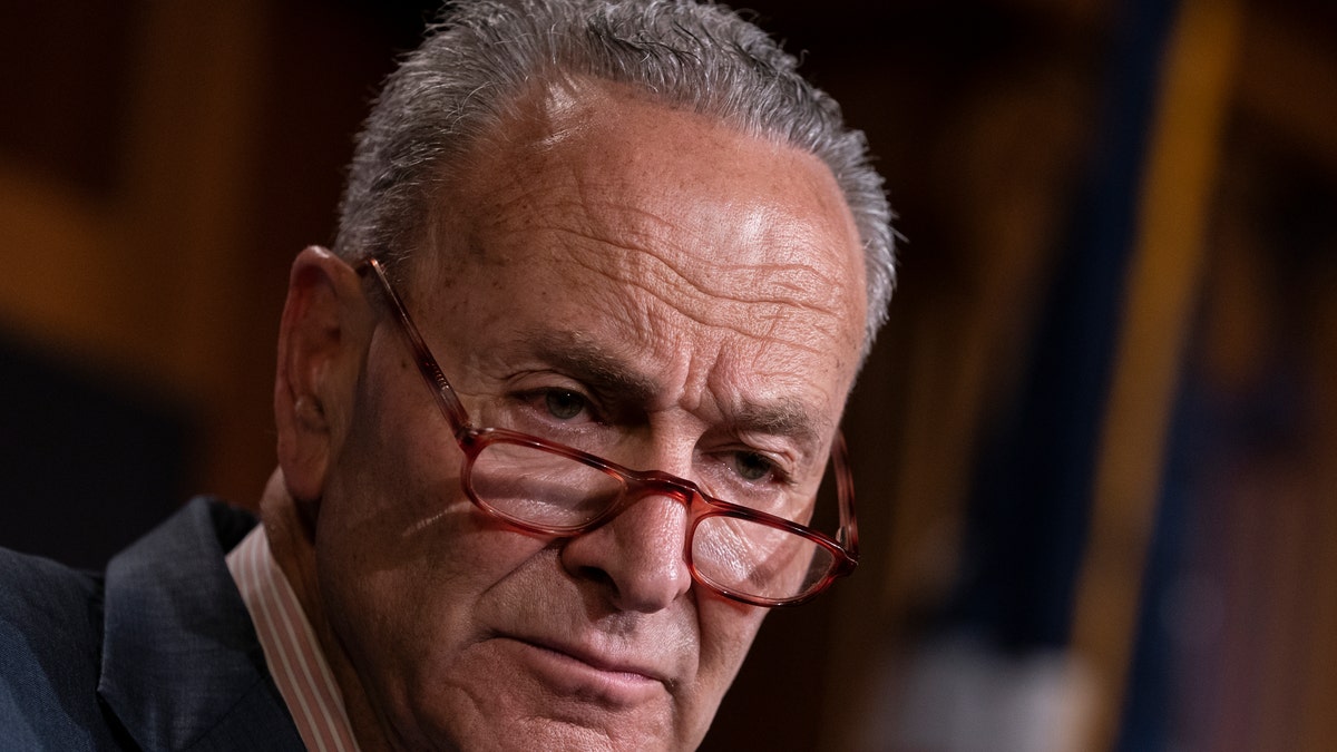 Senate Minority Leader Chuck Schumer, D-N.Y., talks to reporters at the Capitol in Washington. Schumer called on the U.S. government Sunday, June 30, to step up its efforts to investigate the deaths of Americans who traveled to the Dominican Republic and is asking the Bureau of Alcohol, Tobacco, Firearms and Explosives to get involved. (AP Photo/J. Scott Applewhite, File)