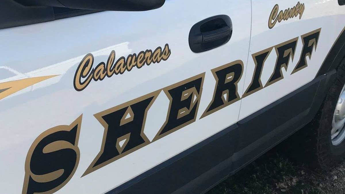 A man threw a dog out of his car window during a police pursuit early Sunday, according to the sheriff’s office.