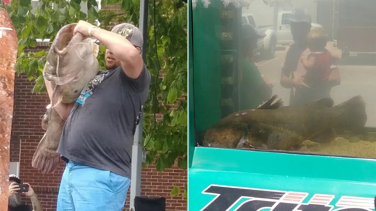 Man catches massive 85 lb catfish with his bare hands