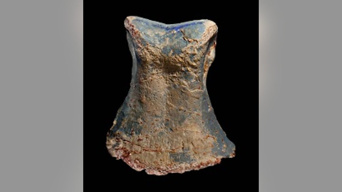 A toe bone of Fostoria, preserved in opal. (Photo by Robert A. Smith, courtesy Australian Opal Centre)
