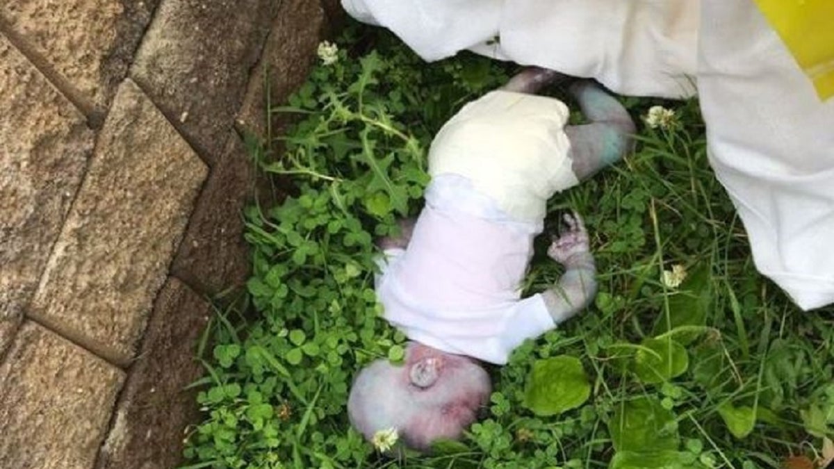 A report of a baby in a New York City park Tuesday was revealed to be a realistic-looking doll.