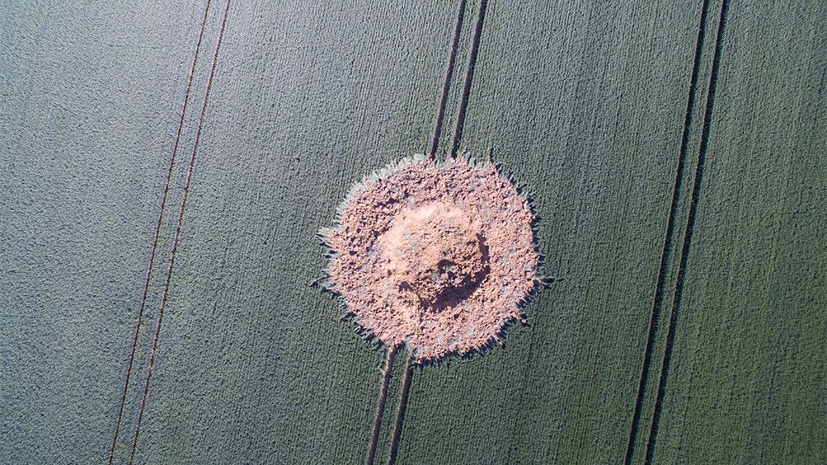 A big crater is pictured on a corn field after a bomb from the World War exploded in Halbach, Germany, Monday, June 24, 2019. The bomb must have stayed under the corn field since the World War until the chemical detonator reacted in the end. No one was injured. (Boris Roessler/dpa via AP)