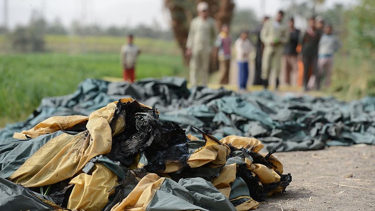 A hot air balloon exploded and plunged to earth at Egypt's ancient temple city of Luxor during a sunrise flight on Feb. 26, 2013, killing up to 19 tourists.