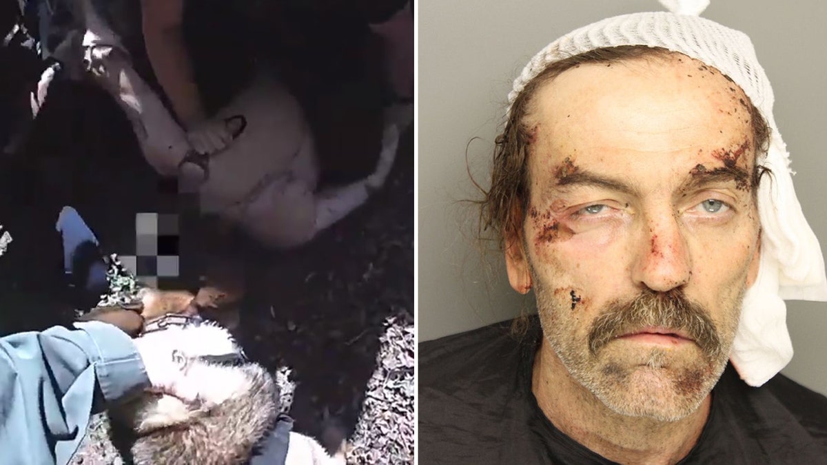 White was treated at a hospital for the dog bites. Deputies found 1.8 grams of crystal meth in his pocket and arrested him.