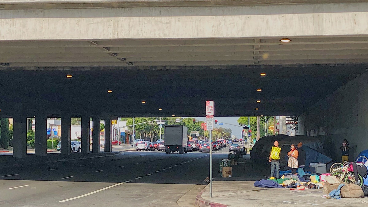 A view of the homeless camp on the Los Angeles side of Venice Blvd. (Andrew O'Reilly/Fox News)