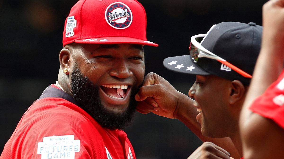 David Ortiz was shot at a Dominican Republic bar on Sunday. (AP Photo/Alex Brandon, File)