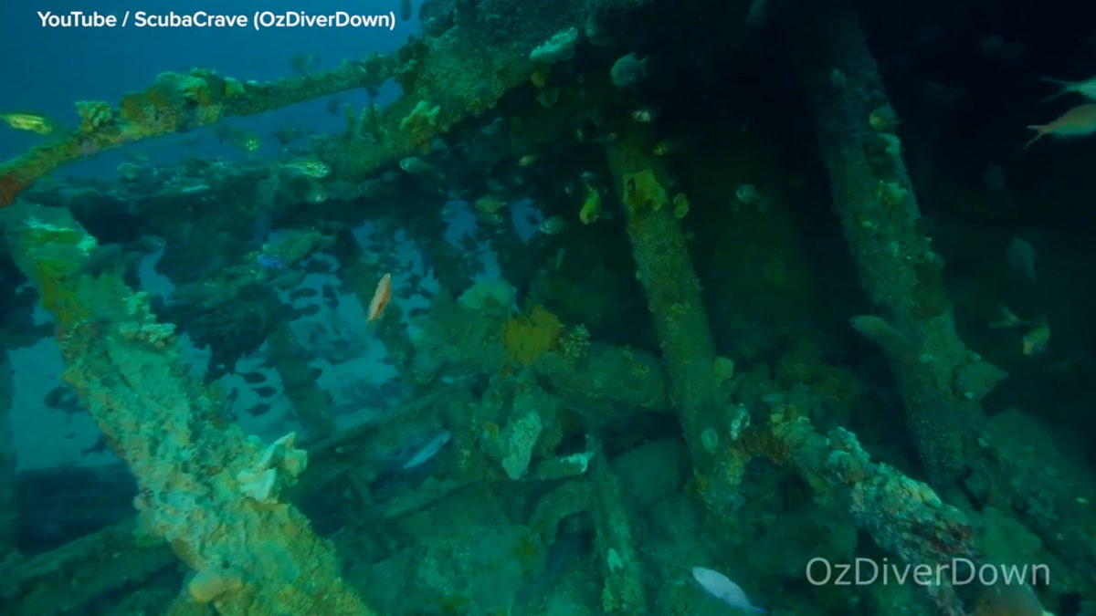 The Nyora wreck was discovered off the coast of South Australia. (ScubaCrave/OzDiverDown)