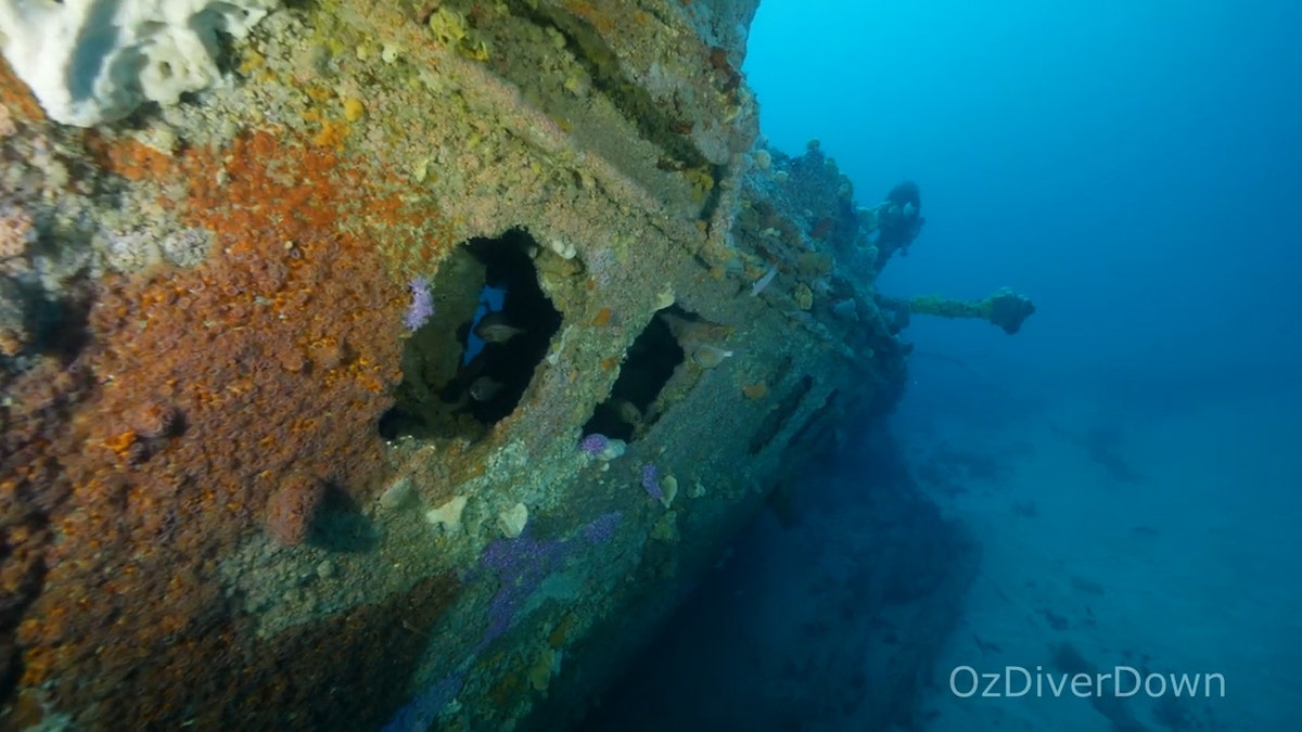 A view of the Nyora on the seabed.