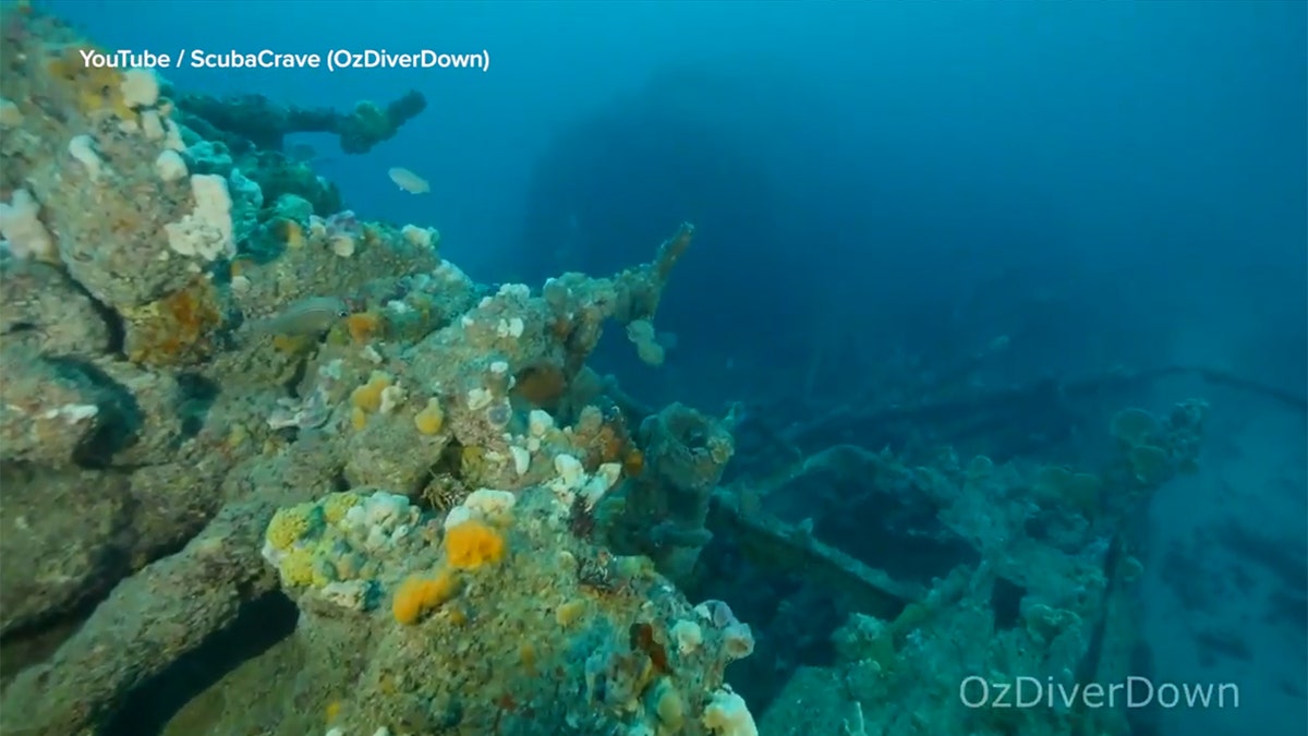 The Nyora wreck has been discovered almost 102 years after the steam tug sank in a storm.