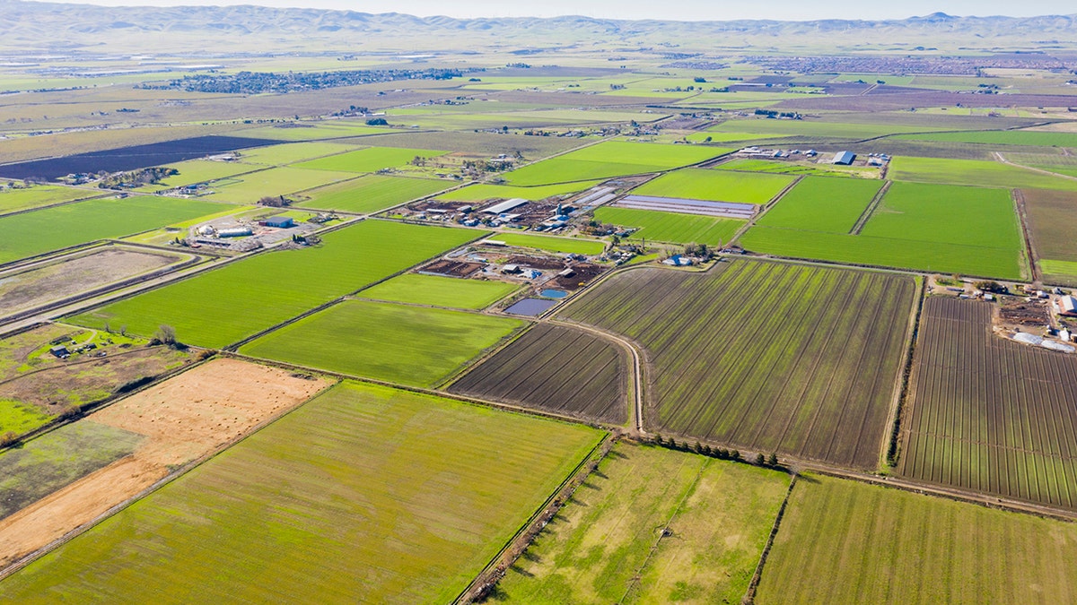 An aerial view of farmland in California's central valley. (iStock)
